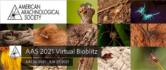 bioblitz_logo.jpg  