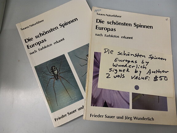 die_schoensten_spinnen_eu.jpg  
