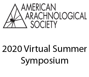 AAS Virtual Meeting 2020 logo