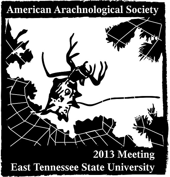 AAS Meeting 2013 logo