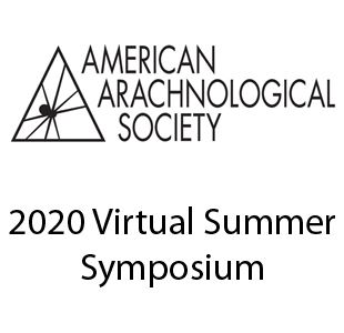 AAS Virtual Meeting 2020 logo