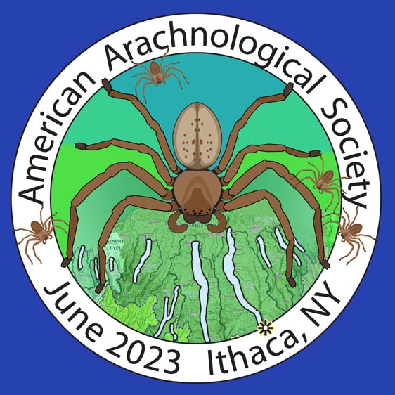 Cornell_spider_logo_2023.jpg  